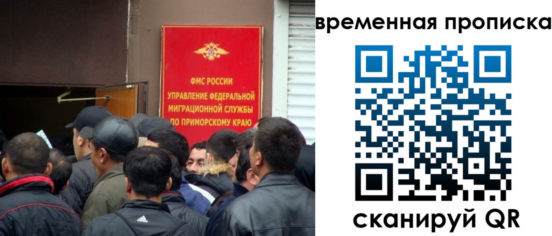прописка в Шебекино